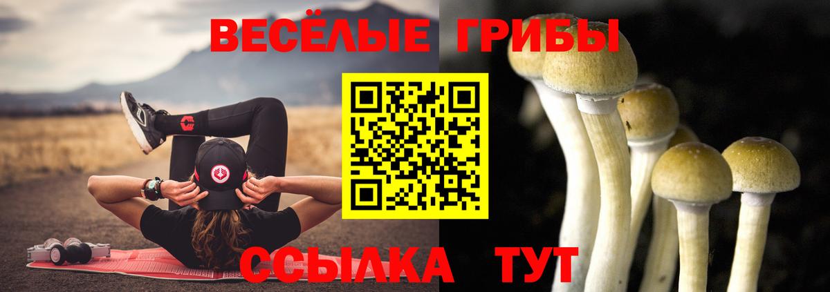 Псилоцибиновые грибы MAGIC MUSHROOMS Серов